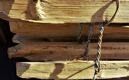 Looizuur, beschermengel van hout