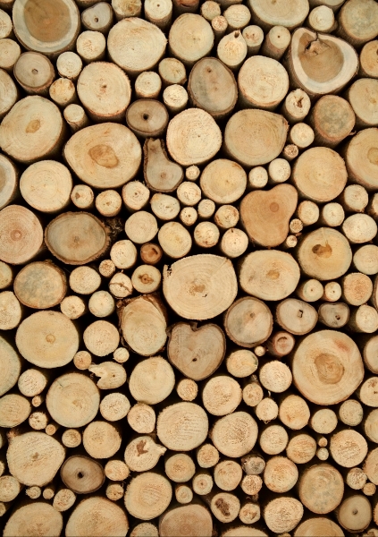 Met hout kan je veel, heel veel>
