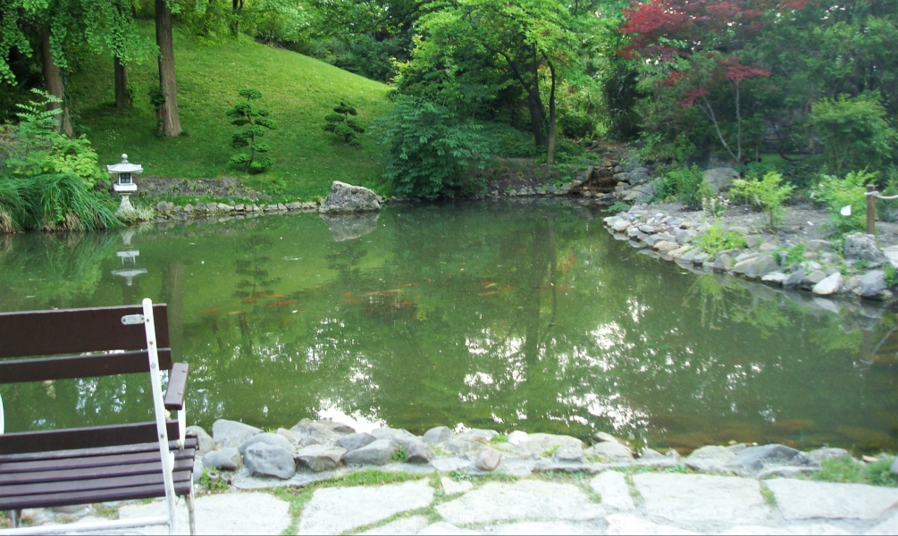 De Japanse tuin: relaxen in oosterse schoonheid>